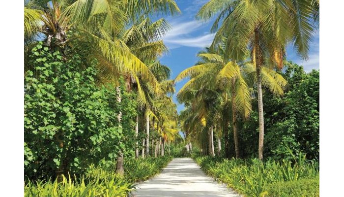 Hotel Ayada Maldives poza 22